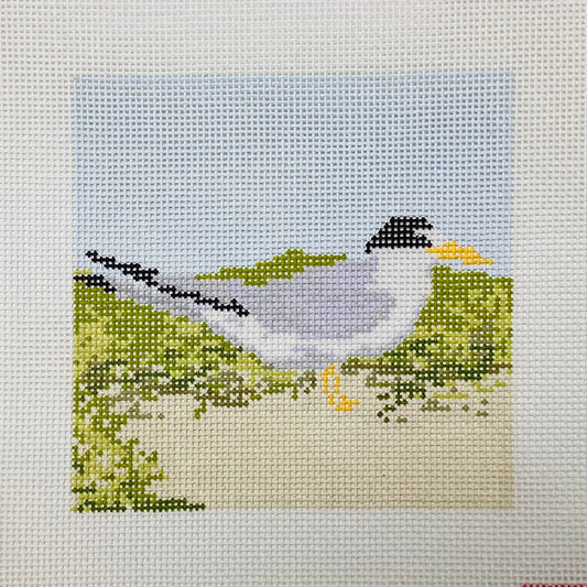 Least Tern